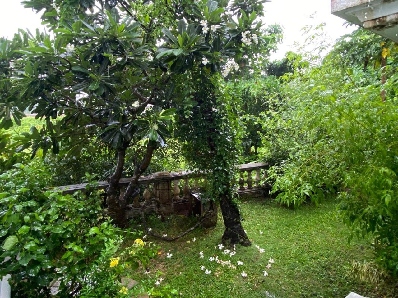 Villa Nostalgia - A Luxurious Villa In North Goa อาร์โปรา ภายนอก รูปภาพ